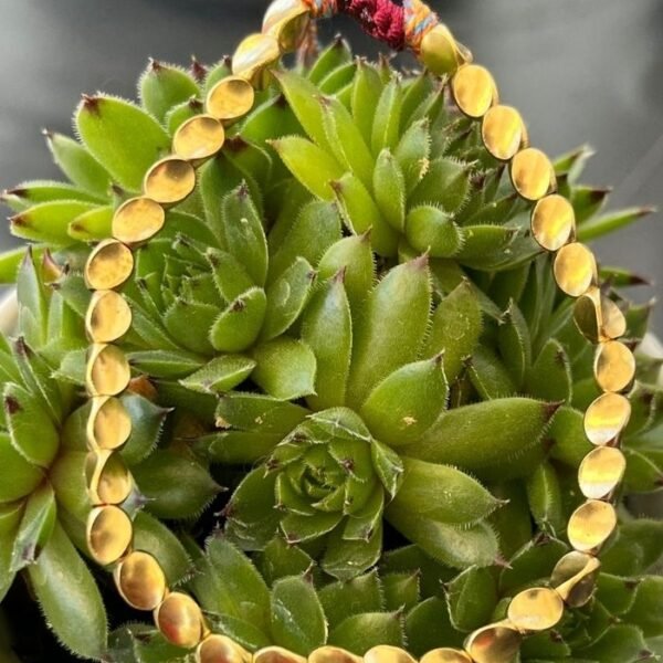 Cuvara Tibetischer Kupfer Armreif