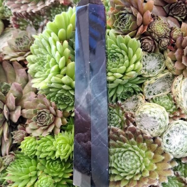 Aqualith Fluorit Natursteinarmband